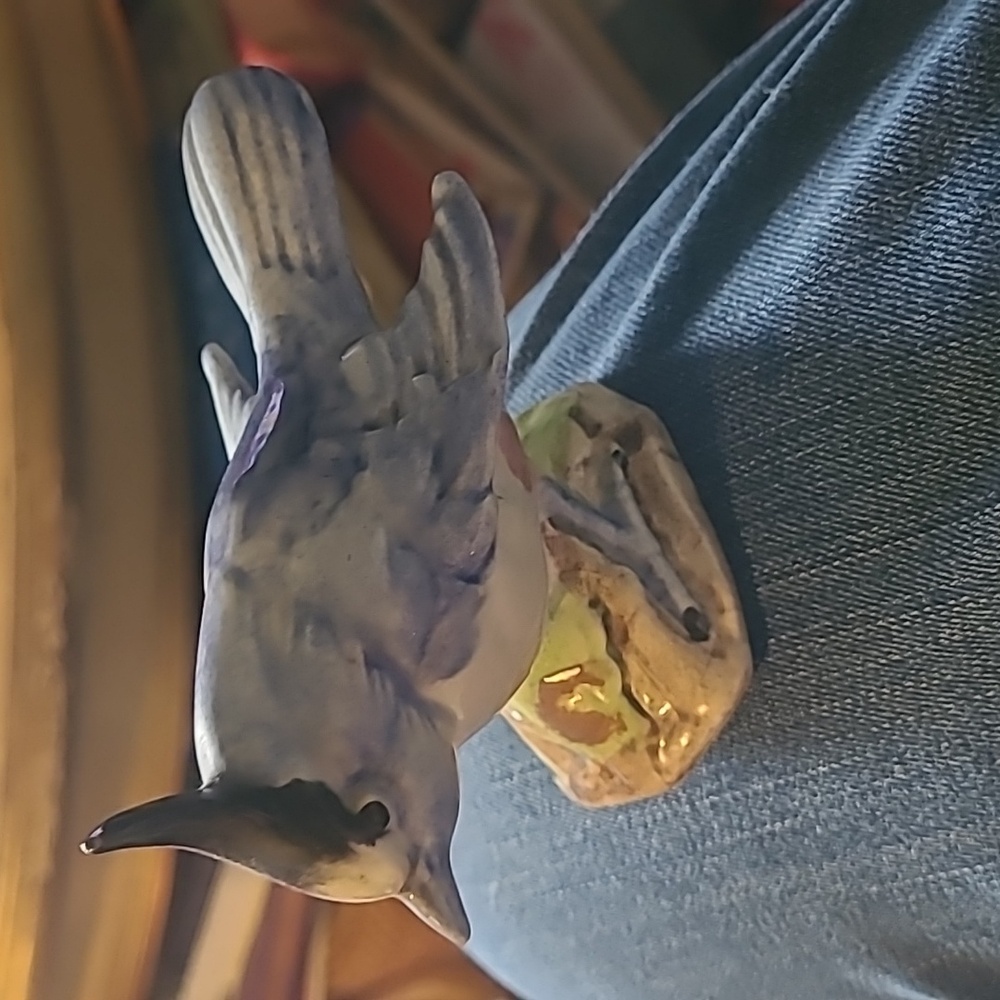 Stangl Bluejay